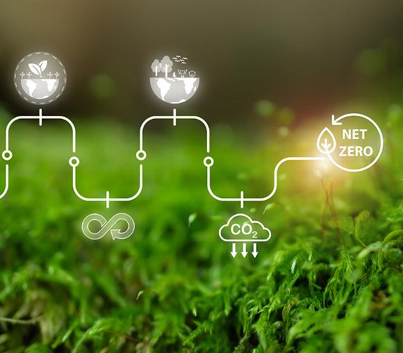 illustration representing a path to net zero emissions with symbols for sustainability carbon footprint and the environment